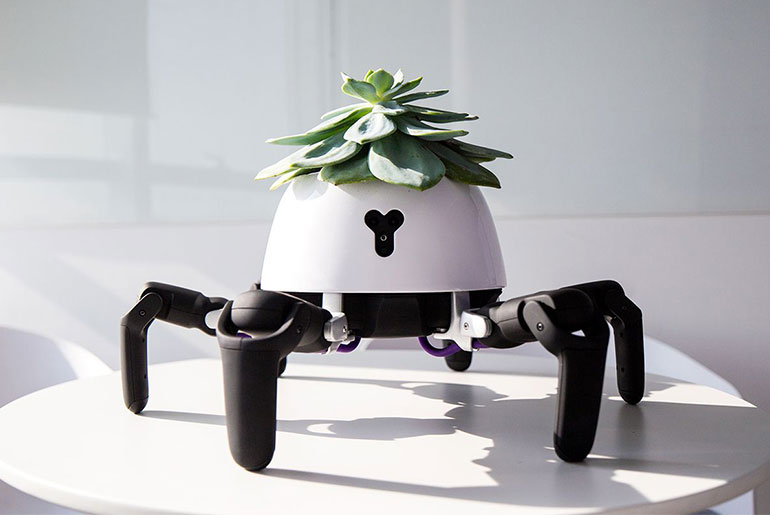 Robotik Bitki HEXA