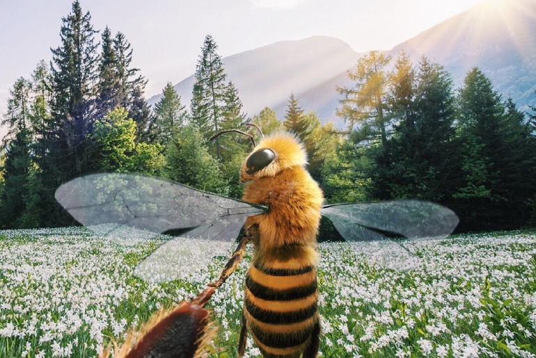Dünyanın İlk Bee Influencer’ı