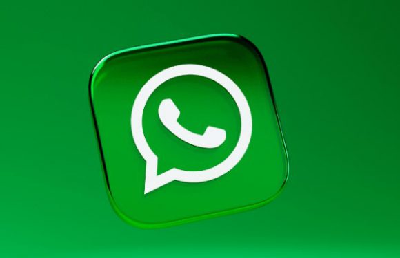 WhatsApp’tan 10 Yeni Filtre ve Arka Plan Seçeneği!