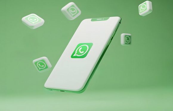 WhatsApp Grup Sohbetlerine Yeni Özellik!