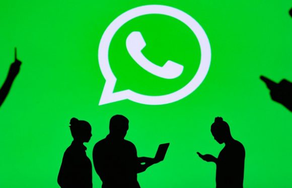 Yerli WhatsApp Geliyor!