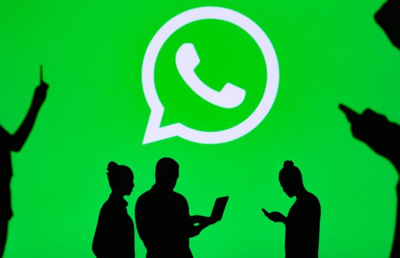 WhatsApp, Ekran Paylaşımı Özelliği ile Zoom’a Rakip Oluyor!