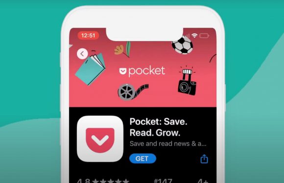 Elveda Pocket!