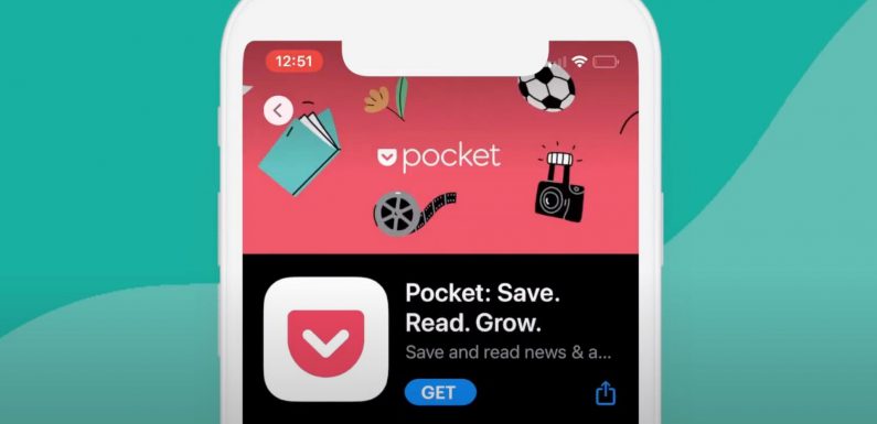 Elveda Pocket!