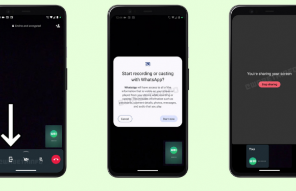 WhatsApp’tan Zoom’a Meydan Okuma!