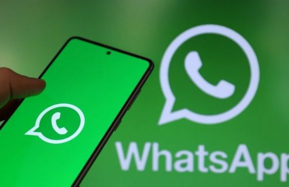 WhatsApp Durumlar Artık Daha Etkileşimli