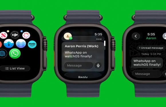 WhatsApp Apple Watch Geliyor!