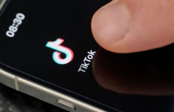 TikTok’tan Sosyal Etkileşimi Artıracak İki Yeni Özellik