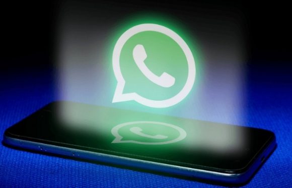WhatsApp Kanallarda Quiz Özelliğini Test Ediyor