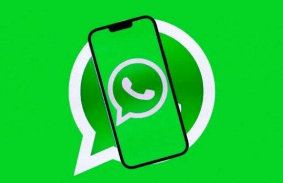 WhatsApp’tan 2026’ya Özel Eğlenceli Yenilikler