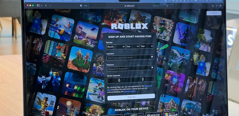 Roblox Türkiye’de Resmileşti