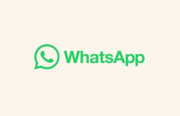 WhatsApp Web’e Grup Sesli ve Görüntülü Arama Desteği Geliyor