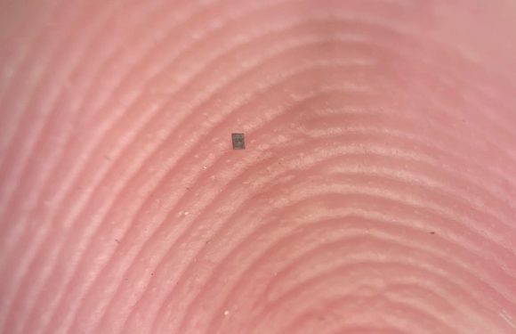 Dünyanın En Küçük Programlanabilir Robotu