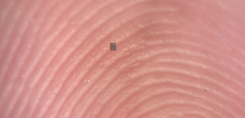 Dünyanın En Küçük Programlanabilir Robotu