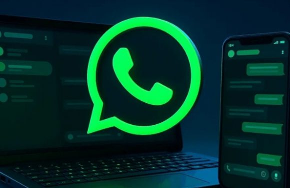 WhatsApp Hesap Güvenliğini Artırıyor!