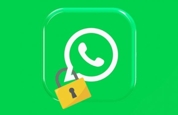 WhatsApp’ta Genç Kullanıcılara Yeni Güvenlik Adımı