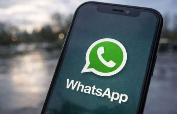 WhatsApp’a Mesaj Zamanlama Özelliği Geliyor