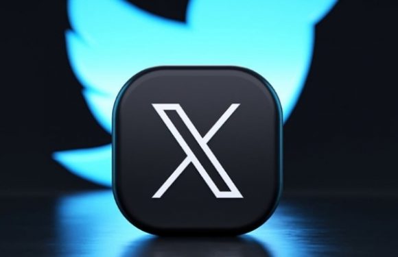 X, Bölgesel Yanıt Sınırı ve “Pull to Dismiss” Özelliğini Test Ediyor