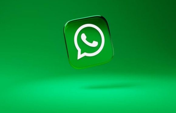 WhatsApp’a Misafir Sohbetleri Geliyor!