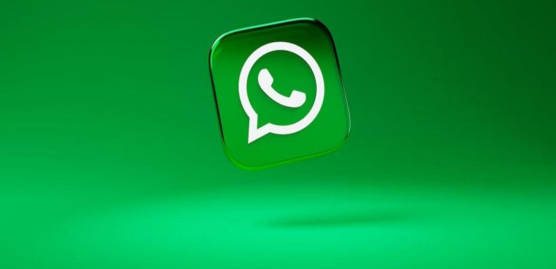 WhatsApp’a Misafir Sohbetleri Geliyor!
