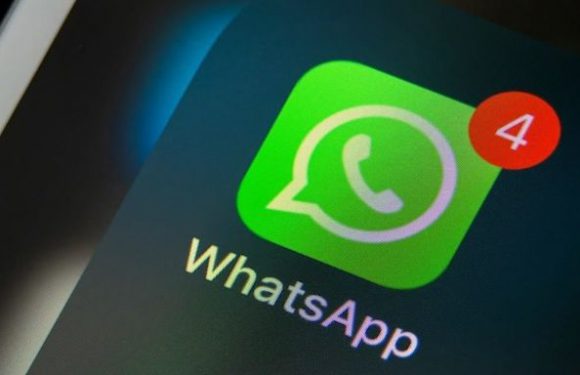 WhatsApp’ta İşletme Sohbetlerine Otomatik Düzen