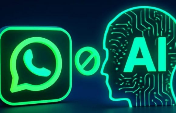 WhatsApp’tan Yapay Zekâlı Mesaj Özeti