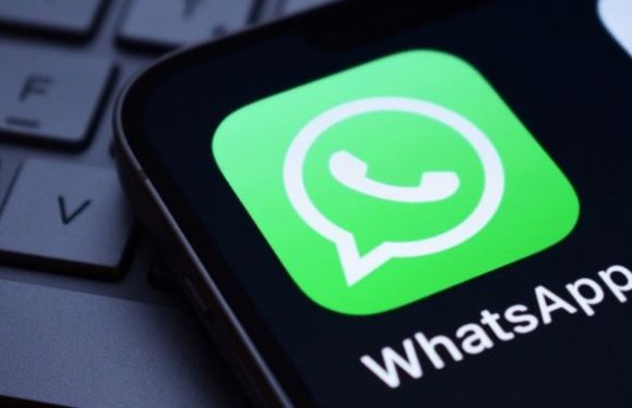 WhatsApp’tan Yeni Hamle: Kişiselleştirme Aboneliği Testte