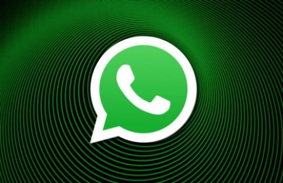 WhatsApp’ta Çevrim İçi Liste Dönemi
