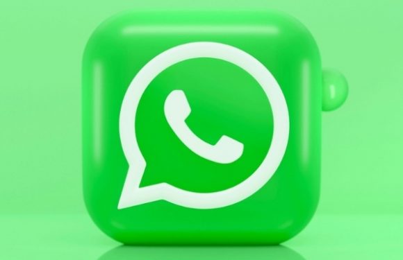 WhatsApp’a Medya Önizlemesi Geliyor