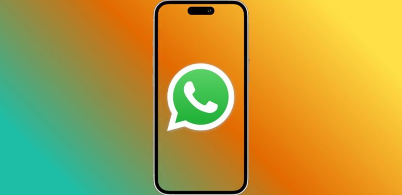 WhatsApp’tan İphone’a Özel Yeni Sohbet İçi Özelliği!