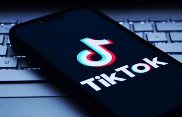 TikTok’tan Yapay Zekâ Destekli Alışveriş Asistanı